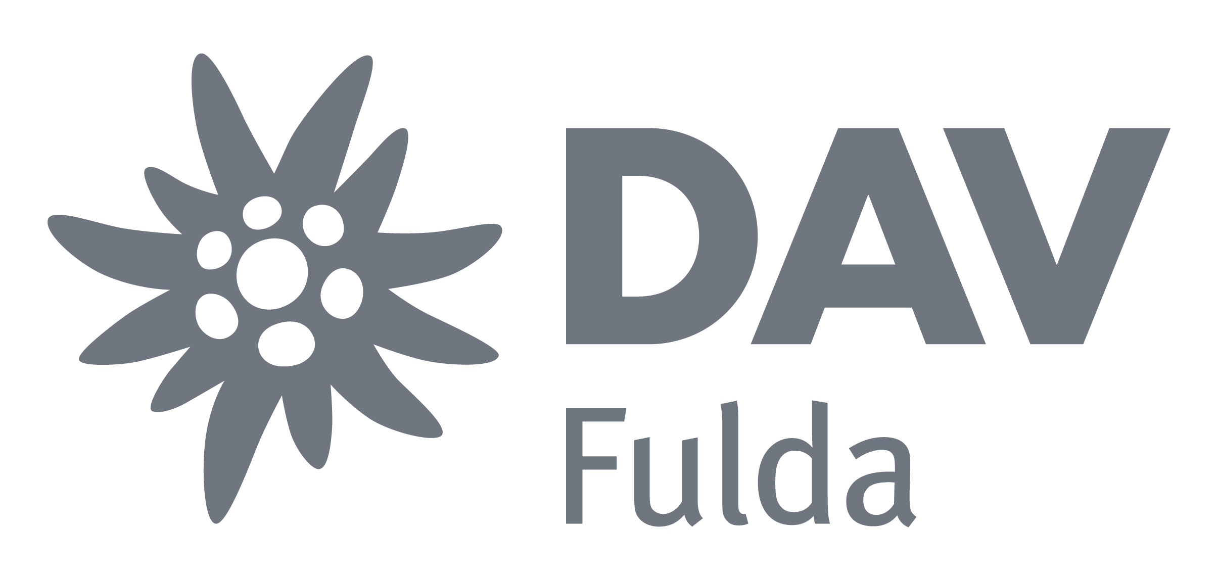 Logo von DAV Fulda