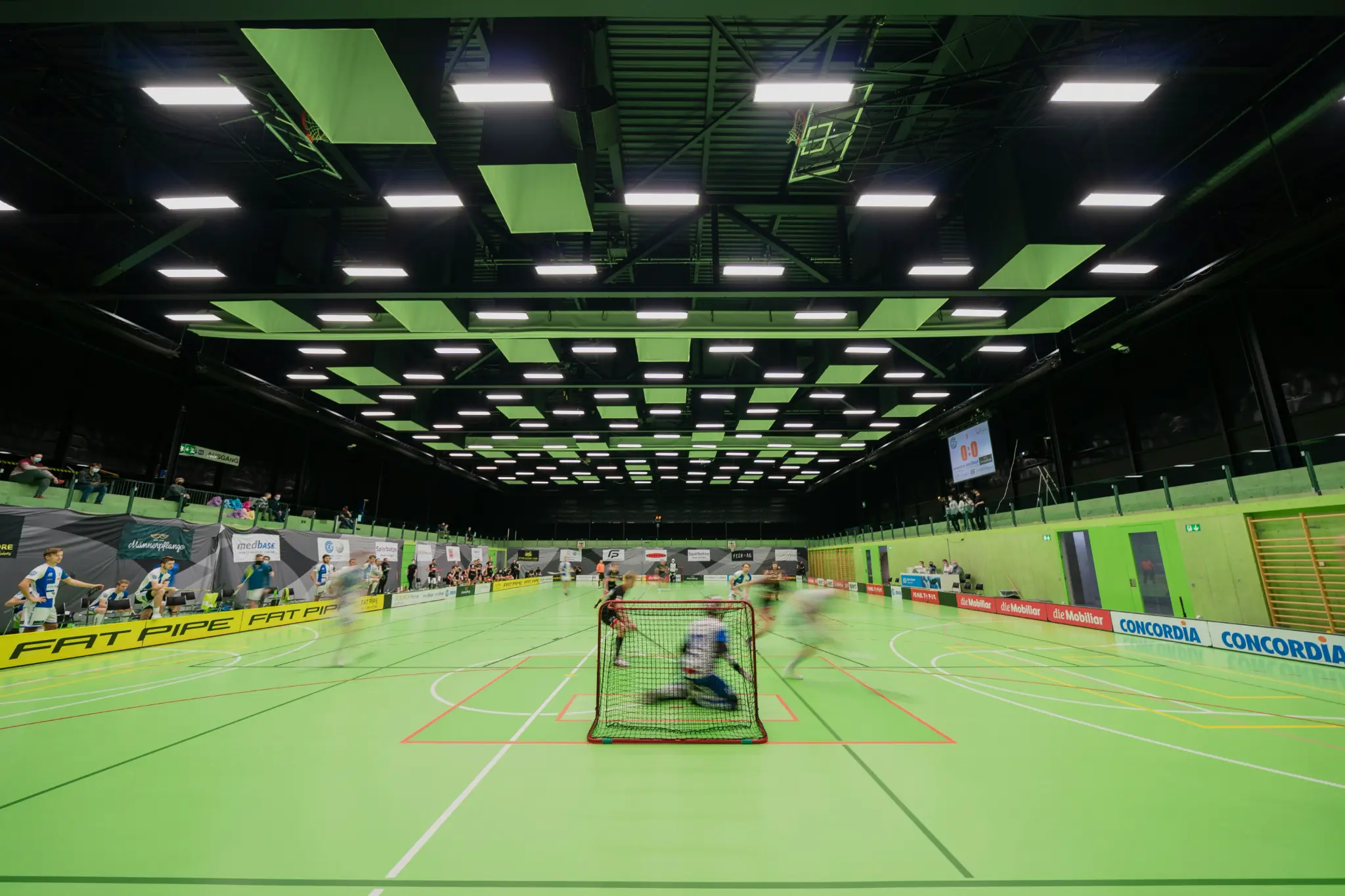Frankfurt Falcons – Lilienthaler Wölfe – Bild 1 von 1
